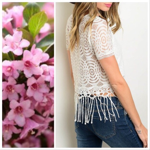 *TAKING DOWN* Antique Lace & Fringe Festival Top - Picture 2 of 8